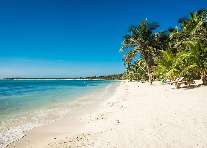 Privada Soliman Bay Pets Welcome!